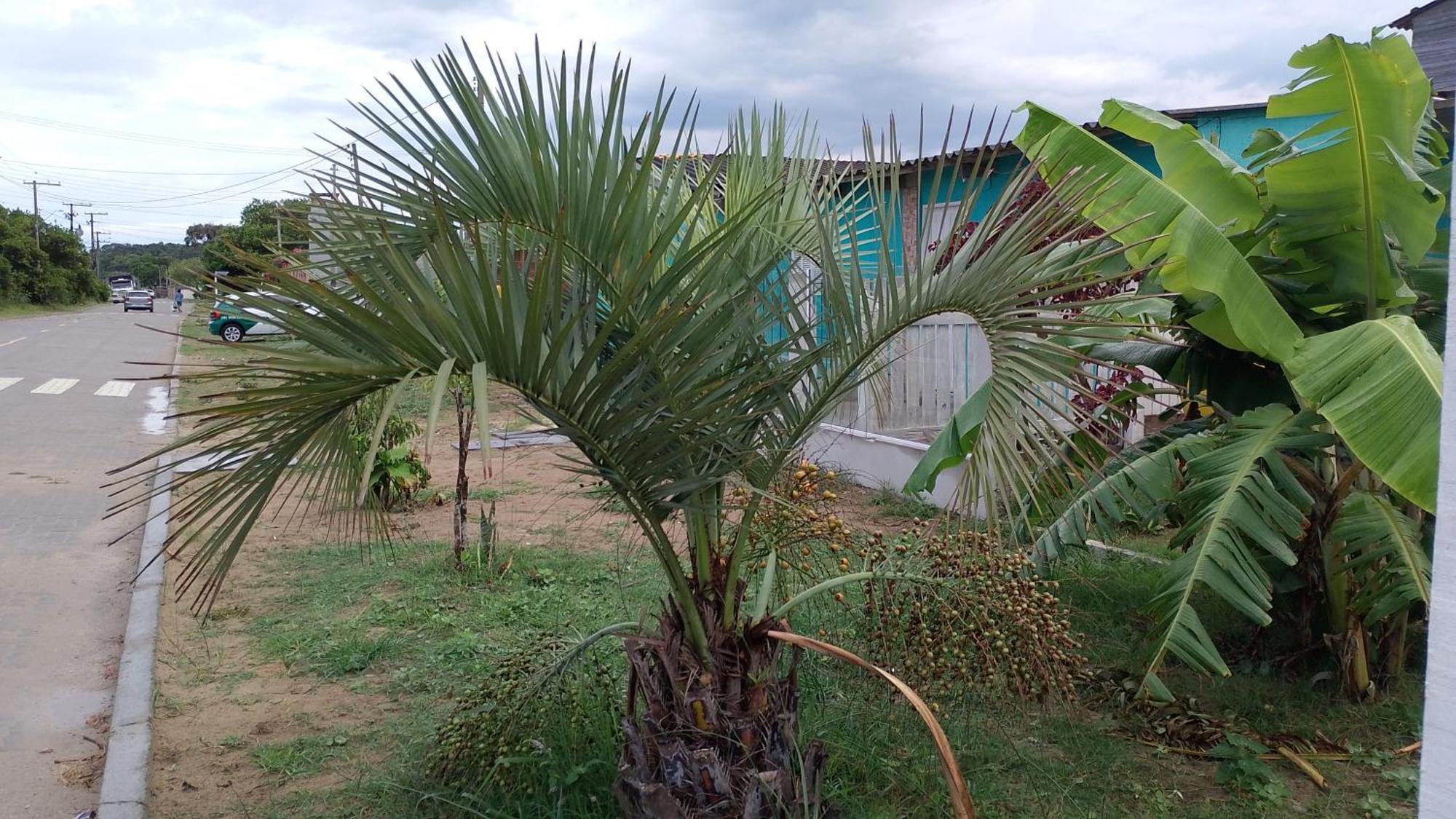 Casa Da Holiday home *